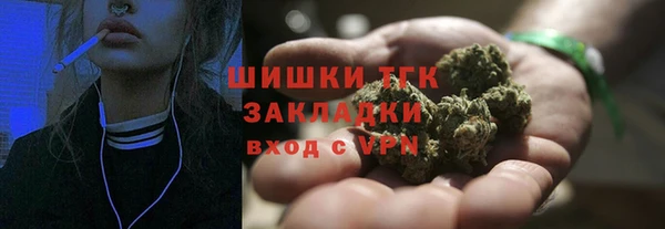 ПСИЛОЦИБИНОВЫЕ ГРИБЫ Алексин