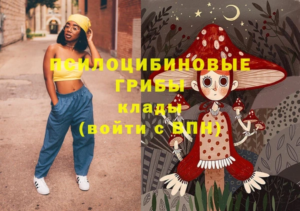 ПСИЛОЦИБИНОВЫЕ ГРИБЫ Алексин